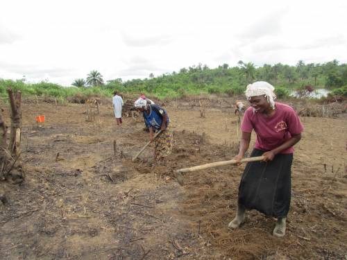 Preparing land for farming in Liberia