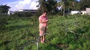 Elder Nani showing us her orange grove