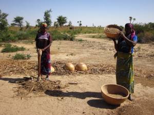 Young women in Niger pounding millet and sifting the grain from the chaff