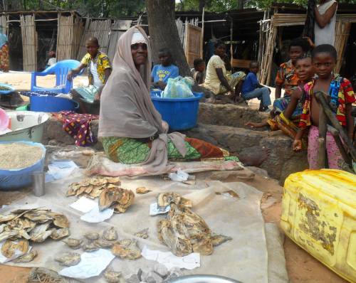 A member of the savings group sells dried fish in the market (Kananga)