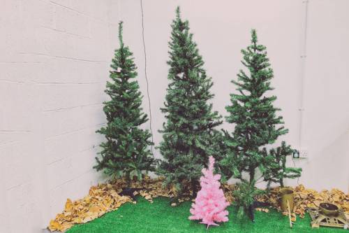 4 artificial Christmas trees — 3 green and one pink