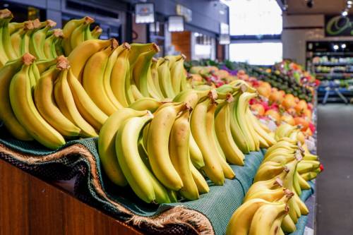 Display of bananas in a green grocer's shop