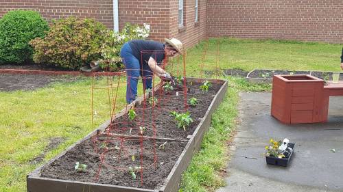 Hunger Action Advocate Jessica Fitzgerald tends to a vegetable garden at her church in the Presbytery of Eastern Virginia. (Photo by Ray Fitzgerald)