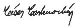 Cesar Carhuachin signature