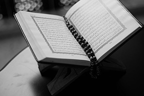 open Quran