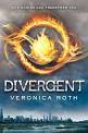 Divergent Study Guide