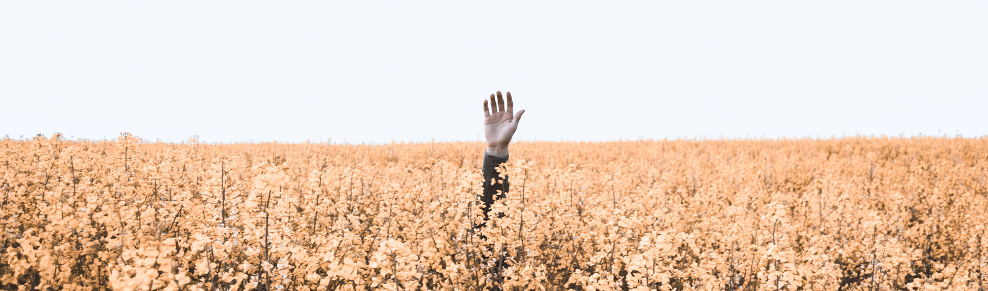 single hand raised in field for identification