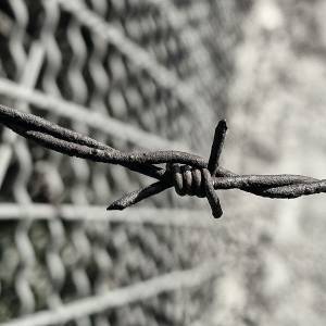 Oppression: a single strand of barbed wire