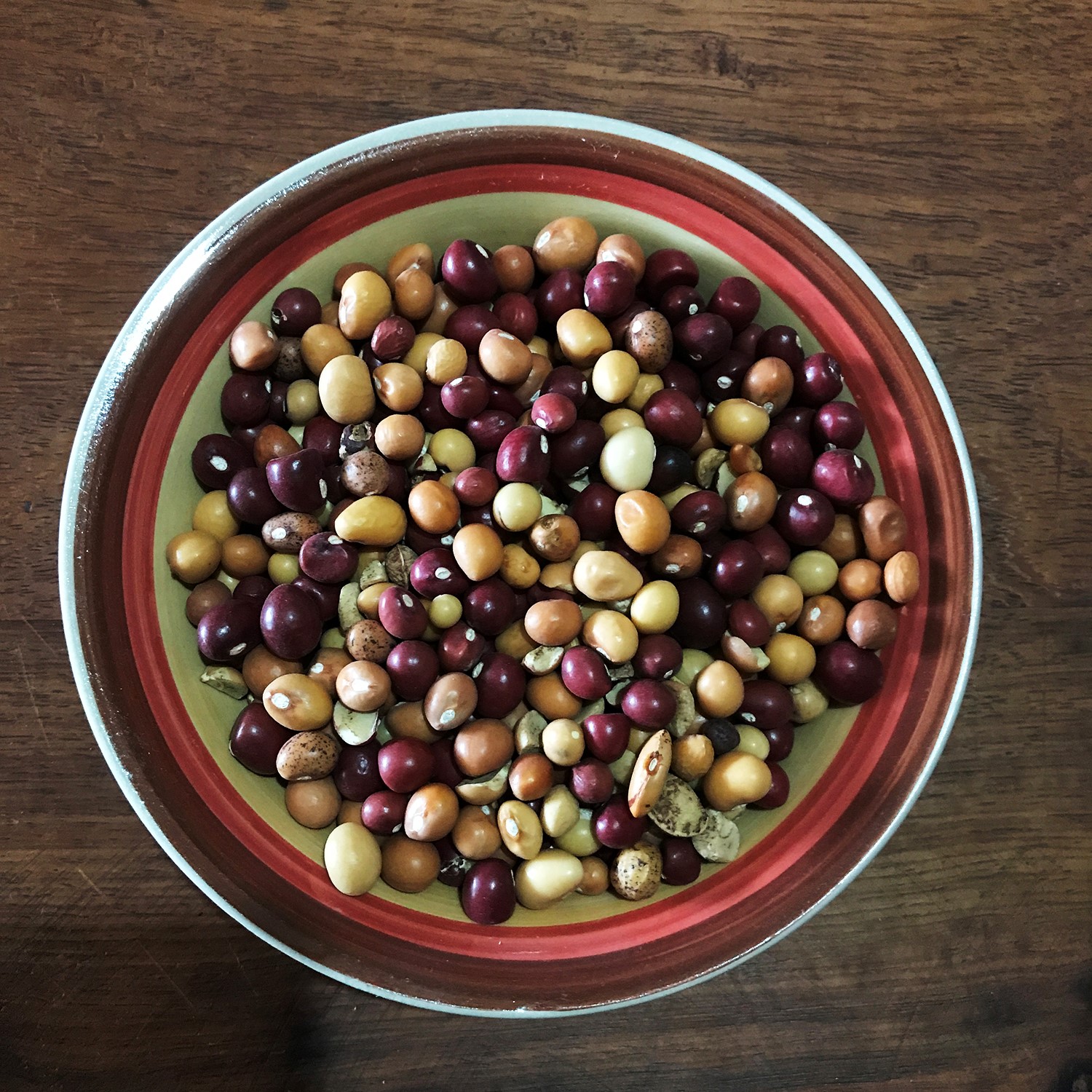 Zyama or Vigna subterranea are considered a complete food because of their high nutritional value.