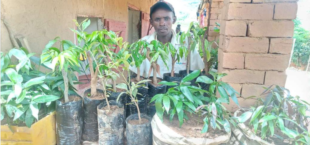Romain Randrianarimanana with fruit trees he has produced at his new nursery after his training.