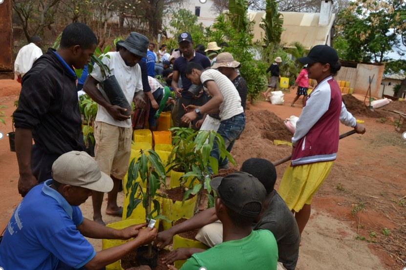 Seminary students at Mandritsara potting up the 40 grafted mango trees that FVEE program technical director Rolland Razafiarison brought when he took Jeremia Ratsirahonana to Mandritsara.