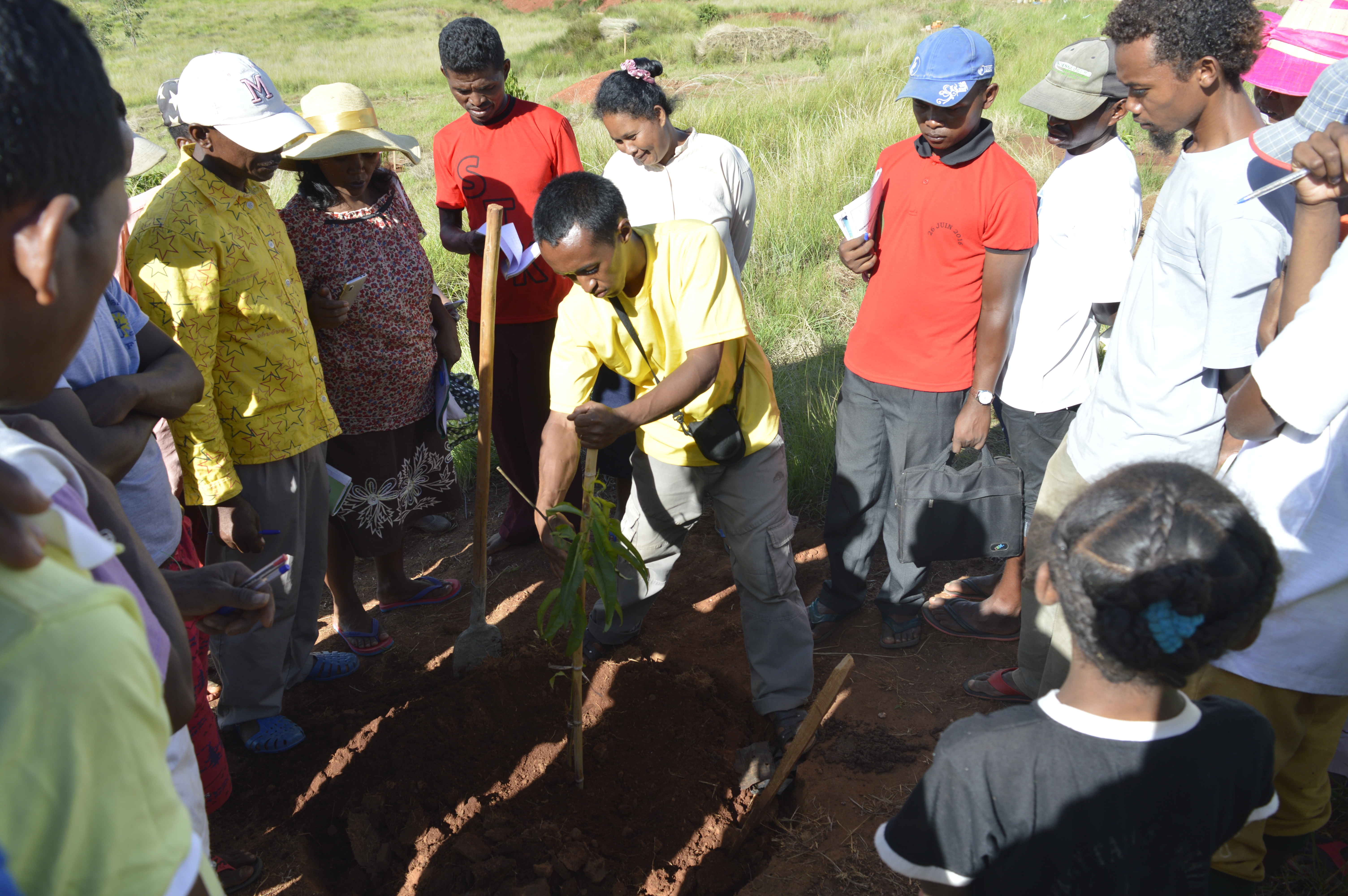 Tree planting demonstration at Mahatsinjo. Caption: Germain Andrianaivoson demonstrating how to plant a fruit tree to lay FJKM visitors at the Mahatsinjo fruit center