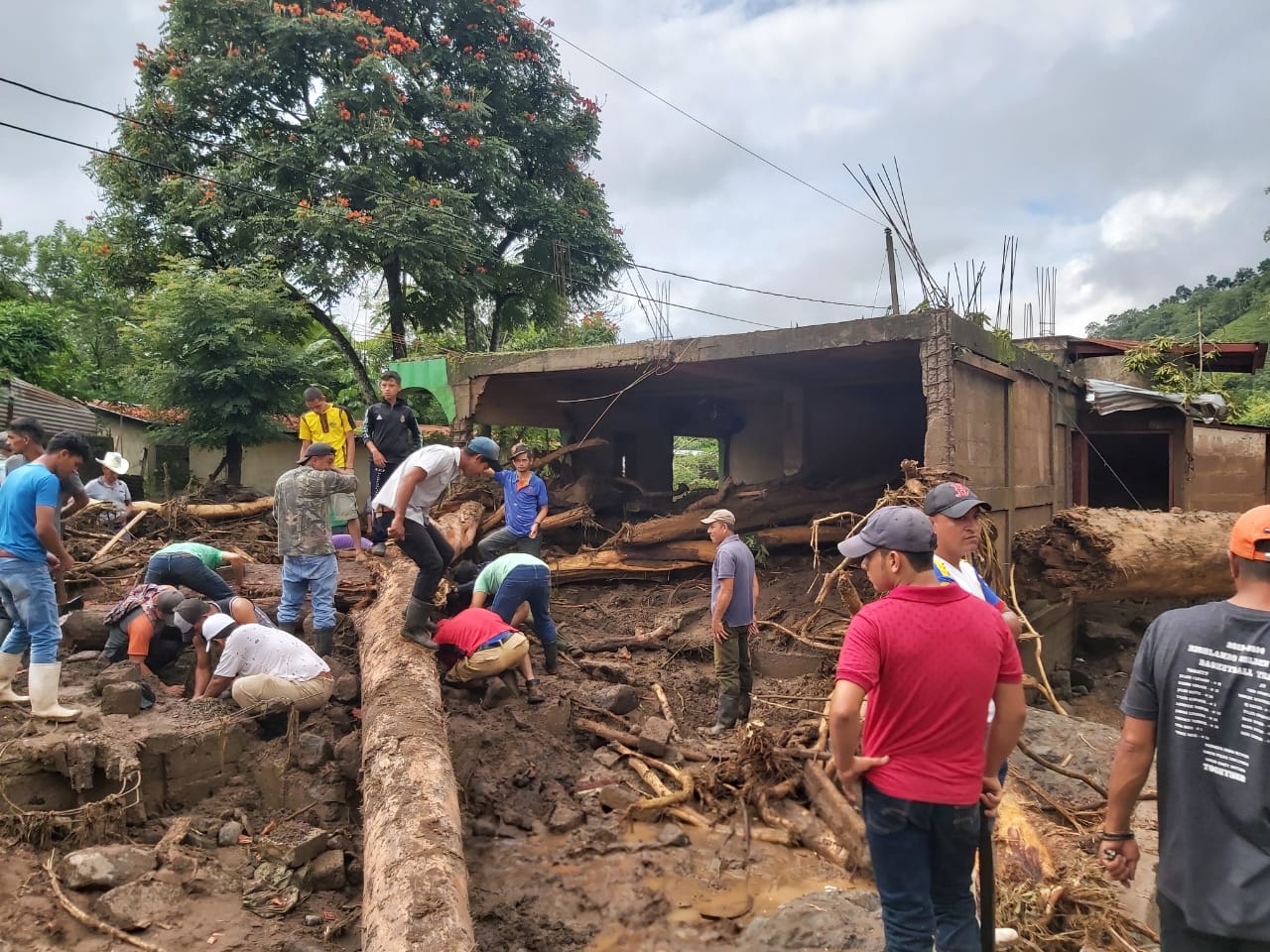 Volunteers from CEPAD in Nicaragua removing tree trunks and repairing the damage or Hurricanes Eta and Iota last year