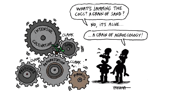 Drawing of plant growing with the cogs of industrial food system