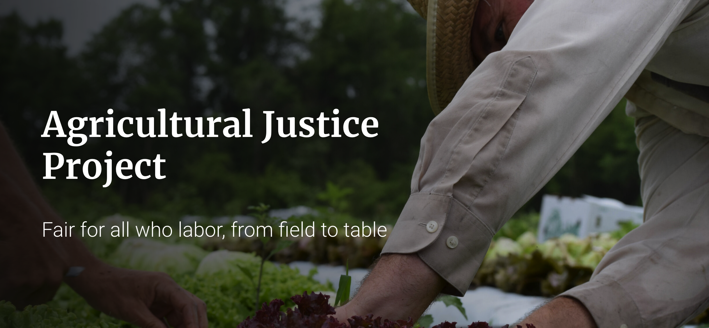 Farmworker's arm and heading, "Agricultural Justice Project"