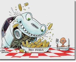 cartoon of car eating corn cobs