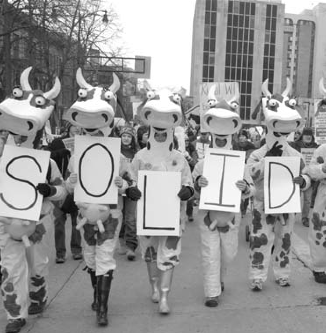 Cow people spell 'solid' with signs