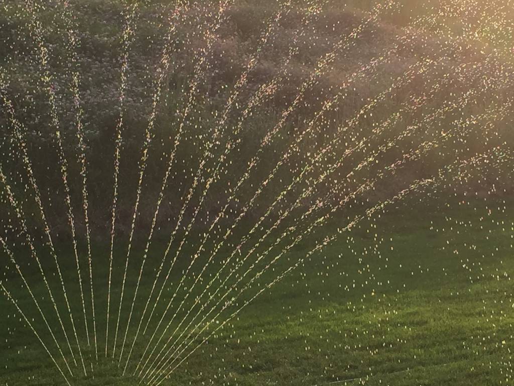 backlit sprinkler spray as picture of Lord's Prayer