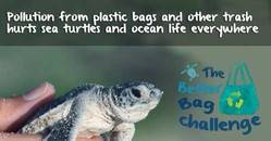 Take the challenge not to use plastic bags