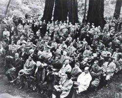 group gathered in Muir Woods