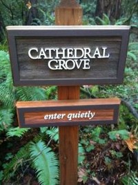cathedral grove sign