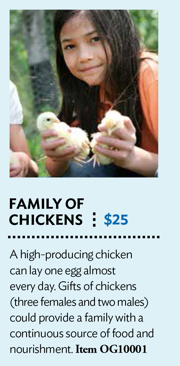 Chickens from Presbyterian Giving Catalog