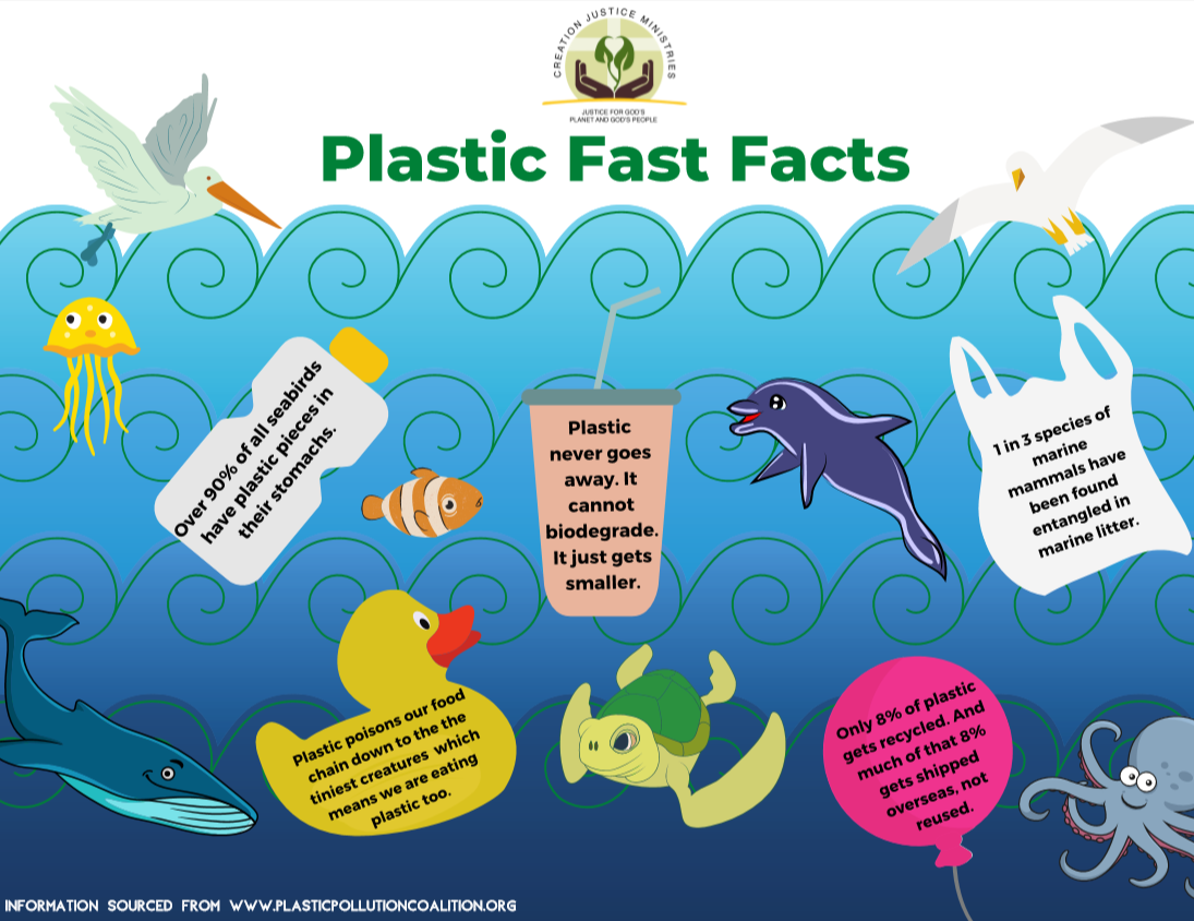 Plastic Fast Facts Graphic