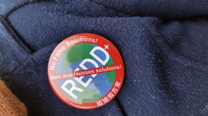REDD safegaurds button
