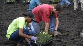 FPC Howard County youth planting flowers
