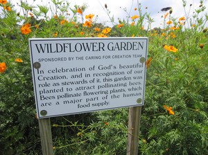 St Andrews Presbyterian Church (Kilmarnock, VA) wildflower garden