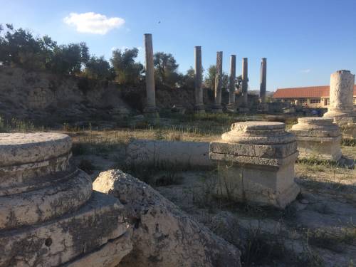Nathan and I celebrated our second wedding anniversary in the West Bank village of Sebastiya, containing some of the area's most important ruins.